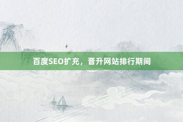 百度SEO扩充,晋升网站排行期间